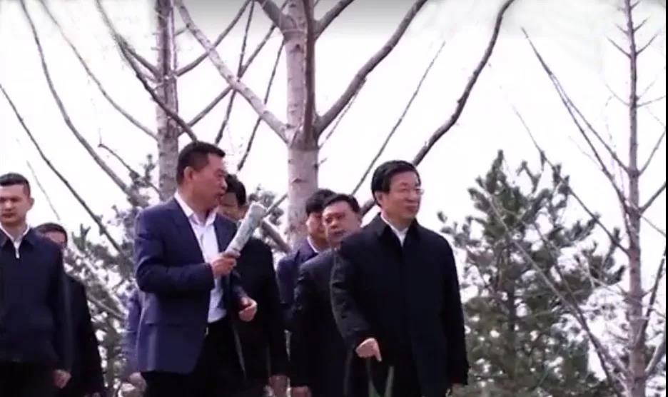 大放異彩 | 河北省省委書記、省人大常委會主任王東峰、副省長張古江調(diào)研邢臺園博園