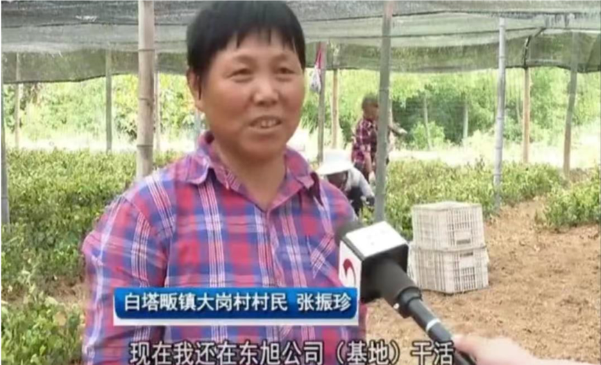 圖片 2.png 圖片 2.png