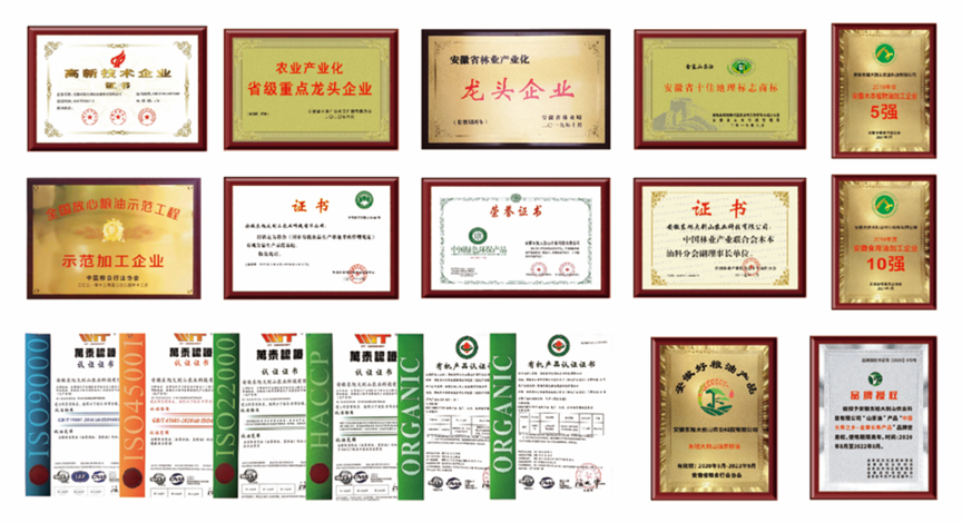 資質(zhì)榮譽.png
